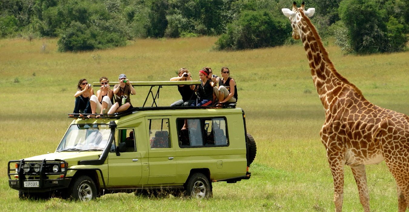 The Ultimate Guide to Going on an African Safari